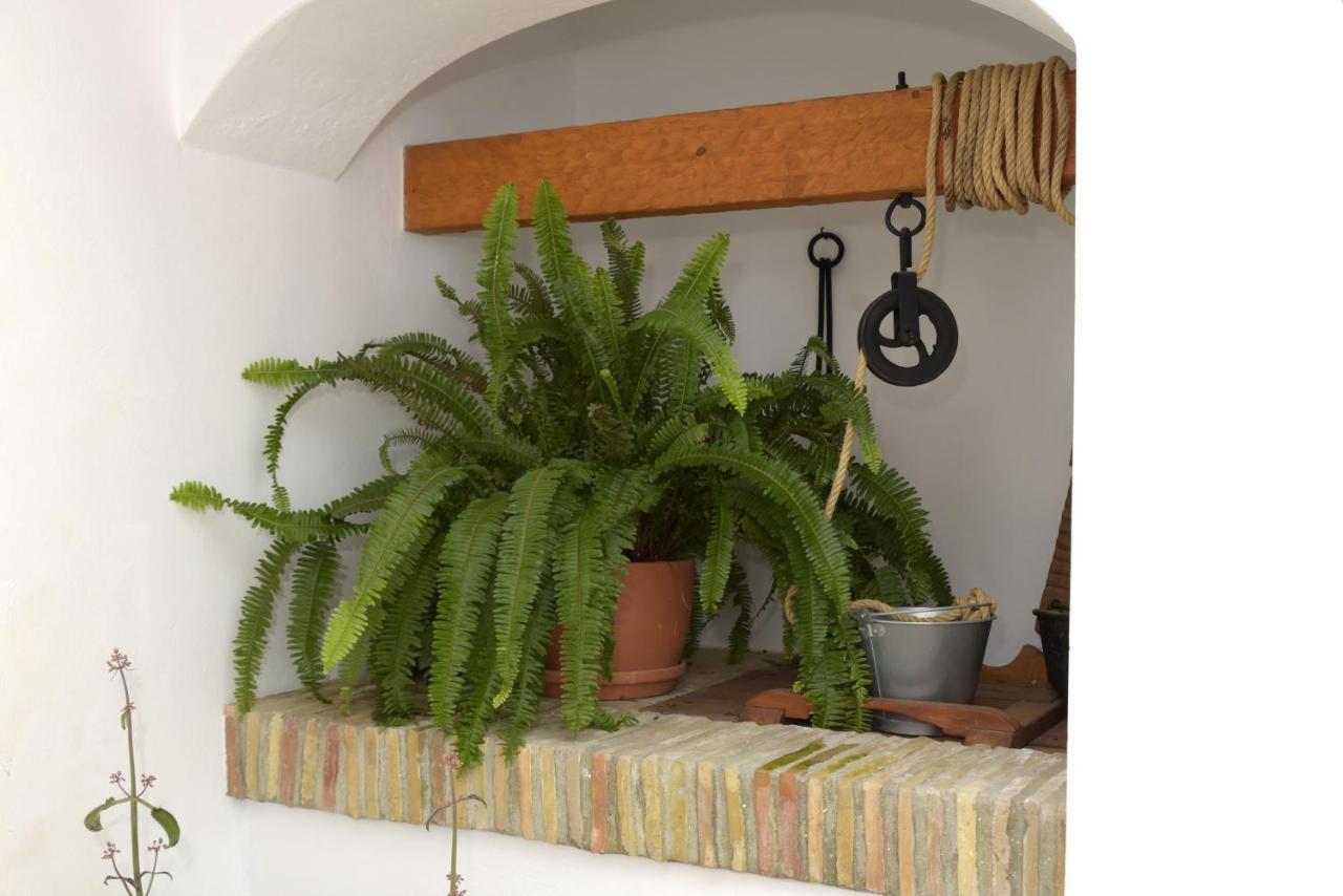 Appartamento Casa Arbonaida Vejer de la Frontera Esterno foto